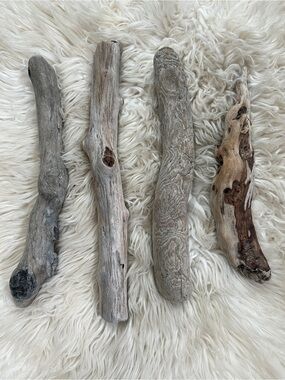 Natural Driftwood Accent Sticks - Gray and Brown PNW Ocean Authentic Lot of 4